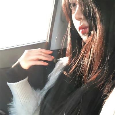 小鸟总动员